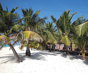 Maldives Accommodation - Kuredu Island Resort - Sunway.ie