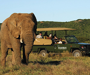 Cape Town & Winelands Accommodation - Shamwari Private Game Reserve - Sunway.ie