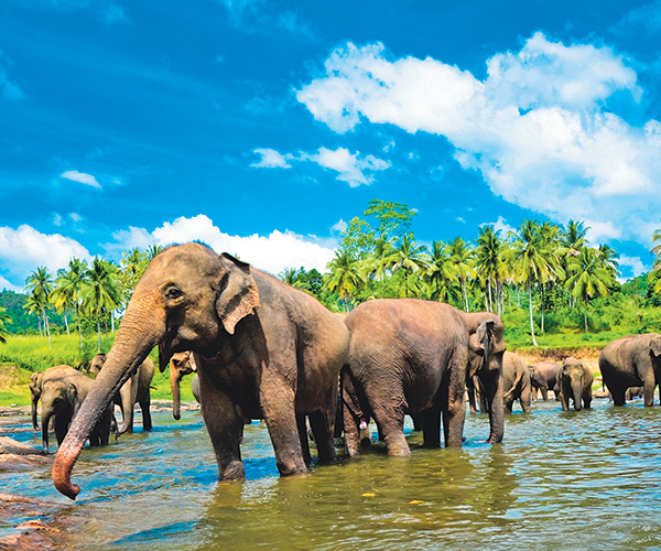 Book your Sri Lanka Holiday with Sunway
