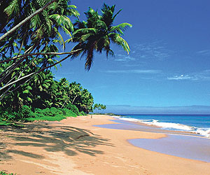 Choose Sunway for your Sri Lanka Holiday