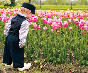 Tulip Time 2018 on sale special offers with Sunway