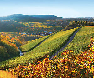 The Enchanting Rhine special offers with Sunway