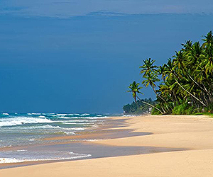 Sri Lanka Tour special offers with Sunway