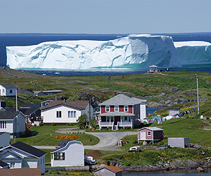 Whales, Bergs & Birds Tour, St Johns