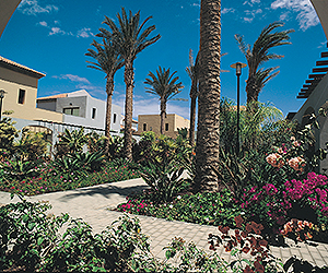 Caleta de Fuste Accommodation - Broncemar Beach Aparthotel - Sunway.ie