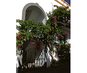 Mogan Apartments - La Venecia de Canarias, Puerto Mogan