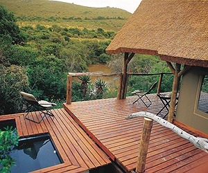 Shamwari Private Game Reserve, Cape Town & Winelands