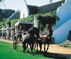 Spier, Cape Town & Winelands