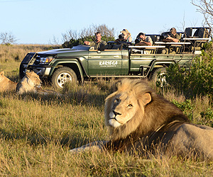 Kariega Game Reserve, The Garden Route