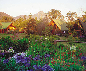 Tsitsikamma Lodge, The Garden Route