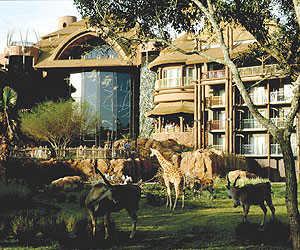 Disney's Animal Kingdom, Walt Disney Resort