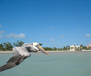 Under the Florida Sun, USA Fly Drive