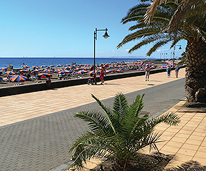 Your Matagorda Holiday begins with Sunway Your Matagorda Holiday begins with Sunway
