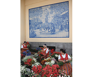 Book your Funchal Holiday with Sunway