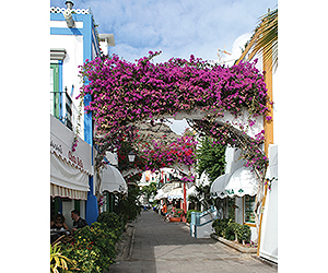 Your Puerto Mogan Holiday begins with Sunway Your Puerto Mogan Holiday begins with Sunway