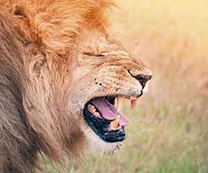 Benin adventure tours and late deals to Benin