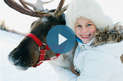 visit santa lapland from ireland