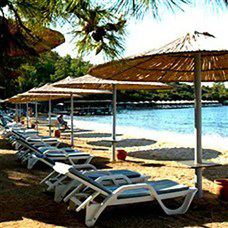 Sea Garden beach and sun loungers.