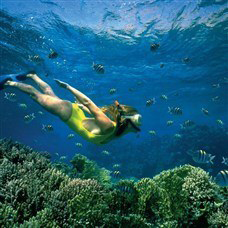 woman snorkeling with the fish underwater in lakitira