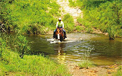 Highpointhorse Ranch, OKLAHOMA